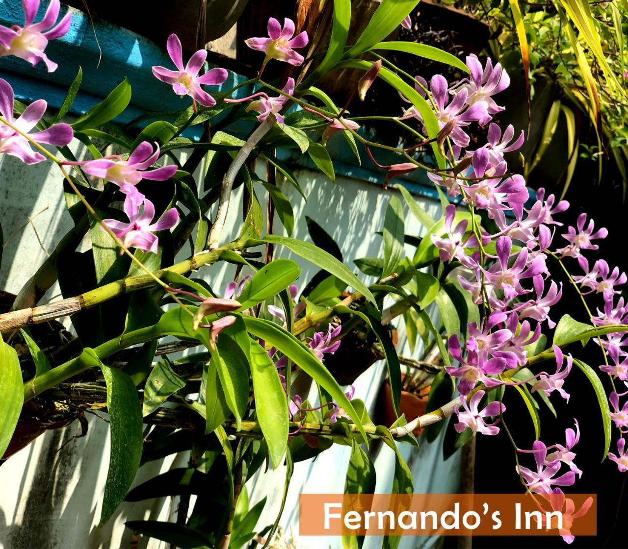 Fernando'S Inn Negombo Dış mekan fotoğraf